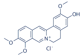 J6681-10MG	Jatrorrhizine Chloride