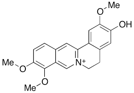 J4834-10MG	Jatrorrhizine Hydroxide