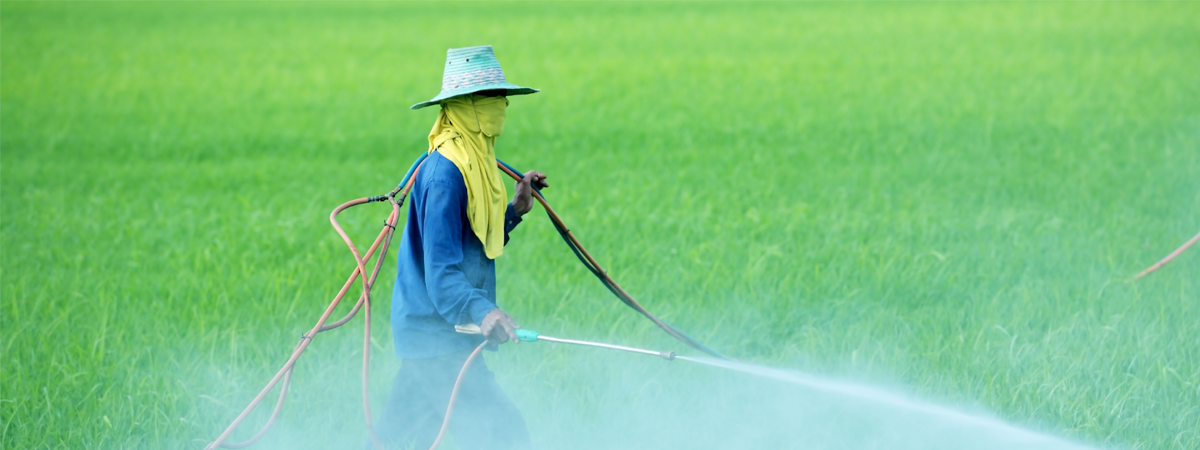PESTISCIDE